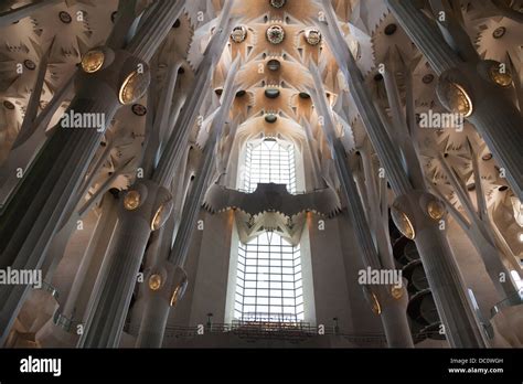 Looking Up Into The Vaulted Decorative Ceiling Of La Sagrada Familia