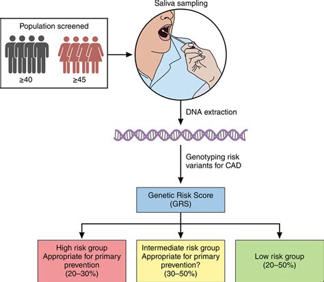 Genetic Risk Stratification Circulation