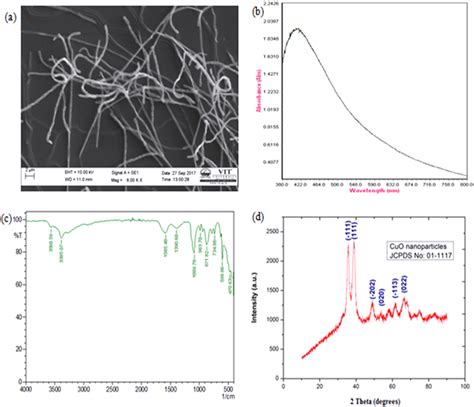 A Sem Image Of The Actinomycetes Isolate Vitbn4 B Uv Vis Spectrum