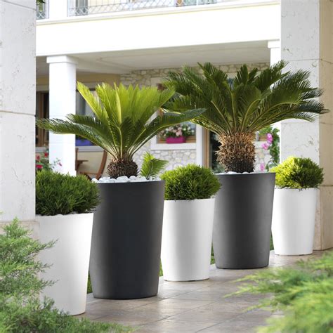 Fayette Planter Design Per La Progettazione Di Cortili Paesaggio