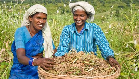 Pm Kisan Samman Nidhi Yojana Rs Crore Transferred Directly