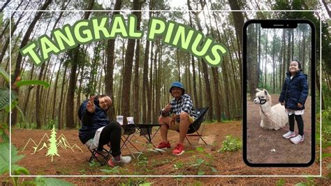 Private Camping Terbaik Tangkal Pinus Jayagiri Lembang Youtube