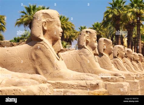 Avenue Of Sphinxes In Luxor Temple Luxor Egypt Stock Photo Alamy