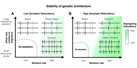 Stability Of Genetic Architecture Of Local Adaptation Through Time For