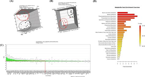 Pattern recognition of urinary metabolomics profiles using ¹H NMR