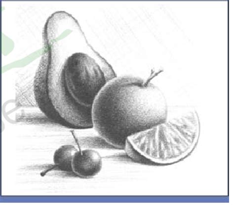 Esto Es Un Ejemplo Del Arte De La Sombra Dibujos De Frutas Imagenes