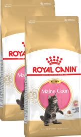 АКЦИЯ! Kitten Мaine Coon (Роял Канин для котят породы Мейн-кун) ( - )
