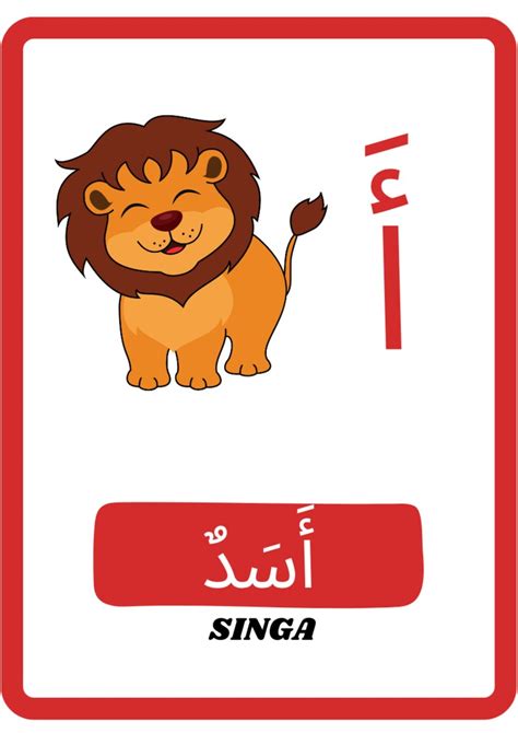 Arabic Alphabets Flash Cards Arabic Learning First Words Cards