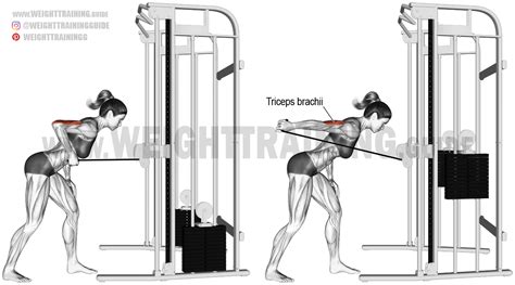 √ Tricep Workouts With Straight Bar