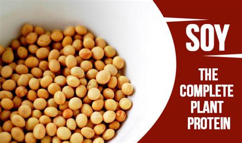 Soy, the complete plant protein - The Wellness Corner