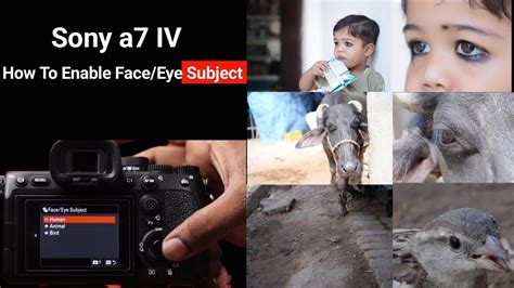 How To Enable Face Eye Subject Sony A7 IV How To Setting Humane