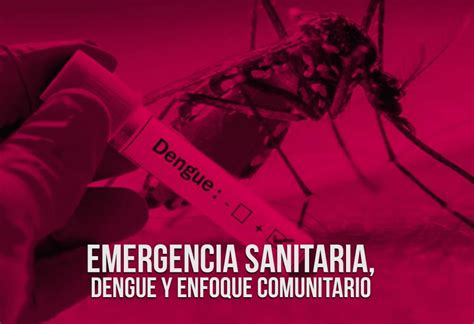 Emergencia Sanitaria Dengue Y Enfoque Comunitario Asociación Médica