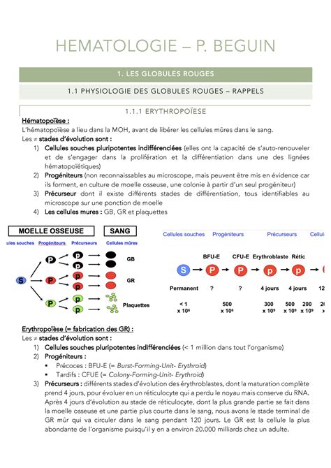 H Matologie Cours Complet De Bac M Decine H Matologie Unamur