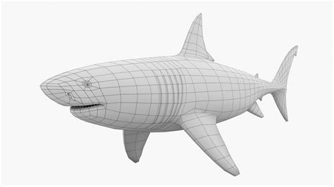 ArtStation - 3D Model: Great White Shark | Resources