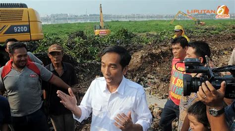 Tanam Jambu Jamaika Di Waduk Pluit Jokowi Boleh Petik Gratis News