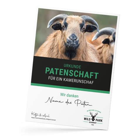 Patenschaft Schaf Wildpark Schmidt