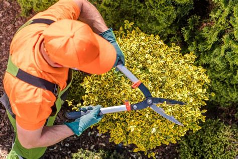 Pourquoi Devez Vous Vous Prot Ger Lorsque Vous Jardinez Conseil