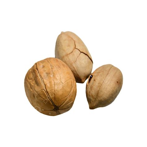 Thin Skin Puzzle Walnut Pecans Pecans Nut Puzzle Png Transparent