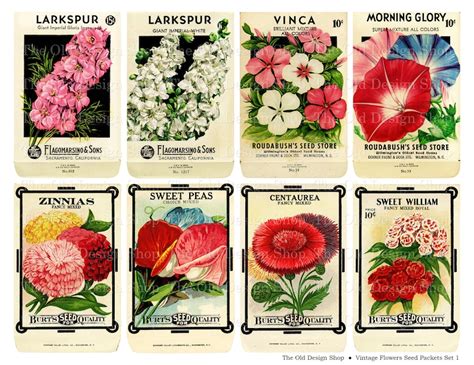 Vintage Flower Seed Packets Set 1 Printable JPG Digital | Etsy