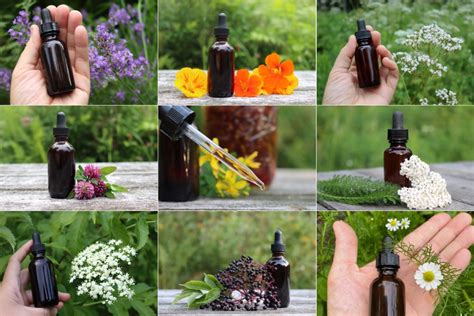 20 plus herbal tincture recipes (for homemade herbal medicine) - Nexus Newsfeed