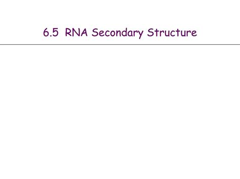 PPT - 6.5 RNA Secondary Structure PowerPoint Presentation, free ...