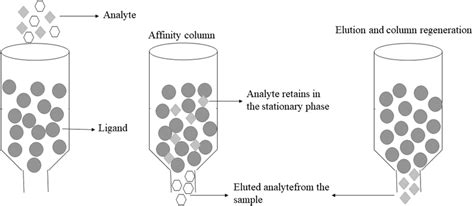 Principle of affinity chromatography | Download Scientific Diagram