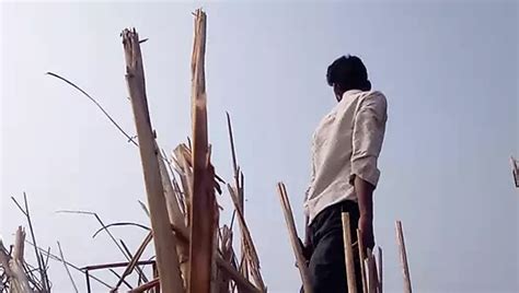 Indischer heißer junge großer schwanz sex xHamster