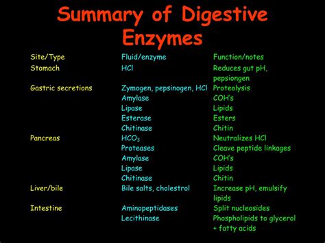 PPT Digestion And Nutrient Metabolism PowerPoint Presentation Free