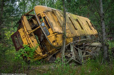 Chernobyl Reclaimed By Nature Incredible Photos Show Life Goes On 33