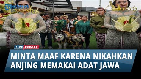 Pemilik Jojo Dan Luna Minta Maaf Karena Nikahkan Anjingnya Pakai Adat