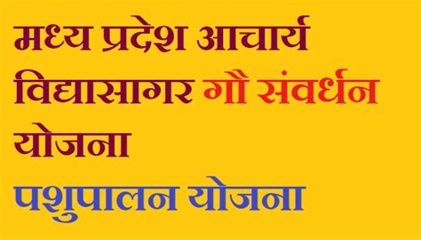 Mp आचार्य विद्यासागर गौसंवर्धन योजना का इस तरह लाभ लें 10 लाख तक का ऋण खबर का असर न्यूज़ नेटवर्क