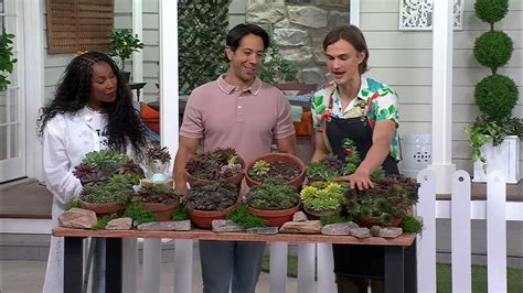 Robertas 7 Piece Hardy Hens And Chicks Live Plants On Qvc Youtube