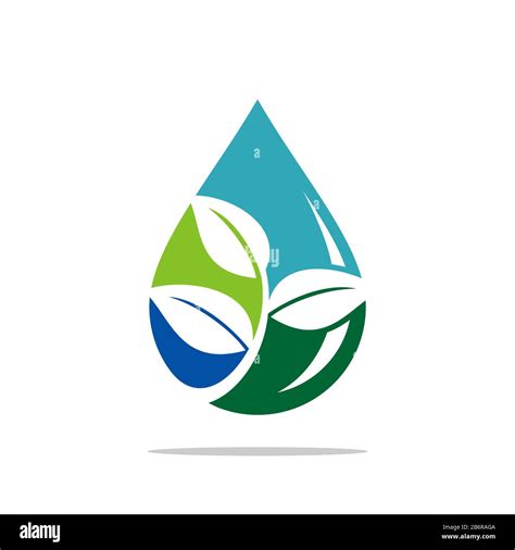 Drop Water Green Leaves Logo Template Illustration Design Vector Eps