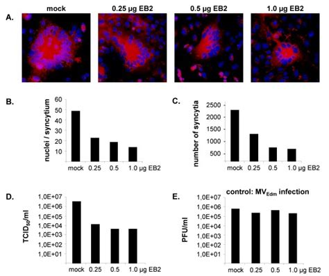 Influence Of Eb2 Overexpression On Niv And Control Mvedm Infection A Download Scientific