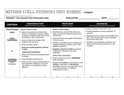 PBL Rubric (Sample)