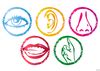 Clipart Of Five Senses Free Images At Clker Vector Clip Art