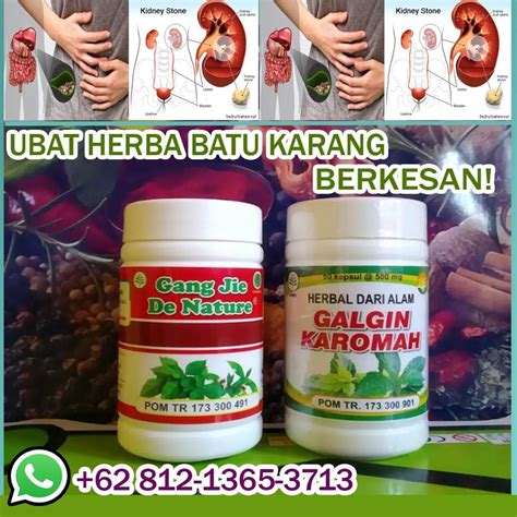 Ubat Sakit Buah Pinggang Tradisional