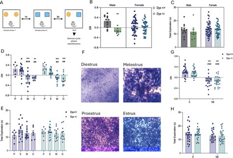 Sex Dimorphism Controls Dysbindin Related Cognitive Dysfunctions In Mice And Humans With The