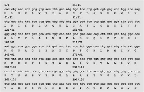 Aqp Mrna Detection In Human Colon By Rt Pcr Nucleotide And Deduced