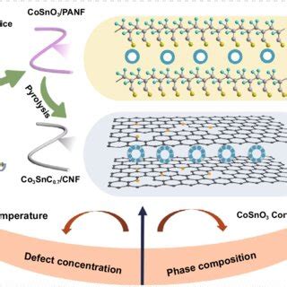 Schematic Illustration Of The Synthesis Of Co Snc Cnf A The