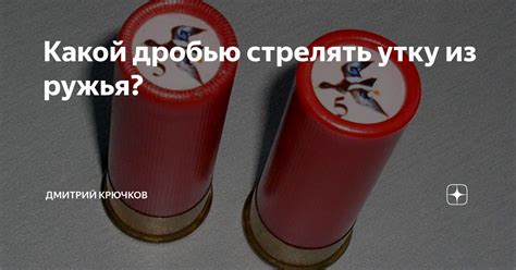 Какой дробью стрелять утку из ружья? | Дмитрий КРЮЧКОВ | Дзен