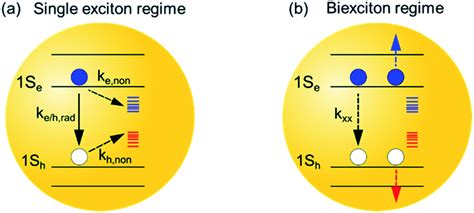 Surface Passivation Extends Single And Biexciton Lifetimes Of InP