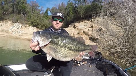 World Record Spotted Bass Release Video Youtube