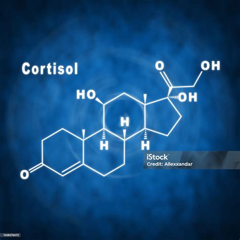 Vetores De Cortisol Hormonal Fórmula Química Estrutural E Mais Imagens