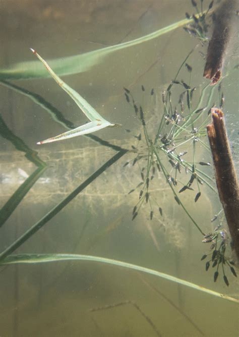 Студенческое портфолио / 1 386 000 000 км3