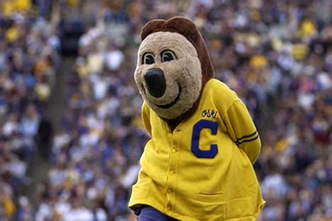 Uc Berkeley Mascot