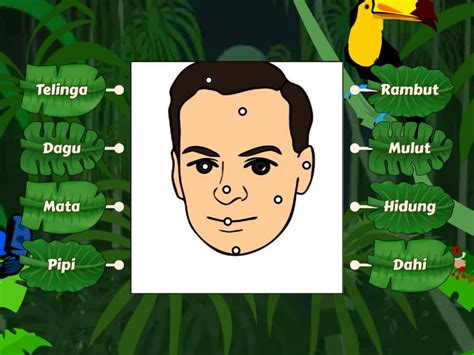Anggota Kepala - Labelled diagram