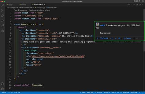 Git Blame In VS Code The Top 4 Extensions