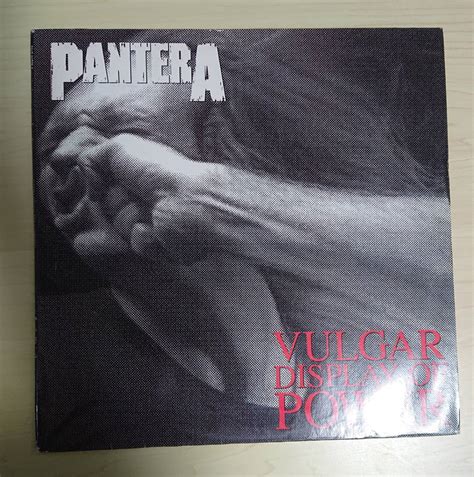 【やや傷や汚れあり】独盤 オリジナル Pantera Vulgar Display Of Power 美盤 超レア Discogs