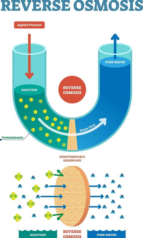 Reverse osmosis filter diagram and key components